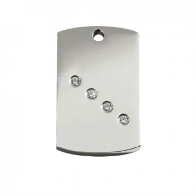 Medalioane Caini Swarovski Rectangular Red Dingo