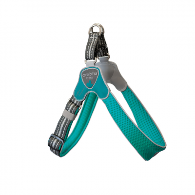 Ham Reglabil Caini Cinquetorri Turquoise Cortina Pet Soul