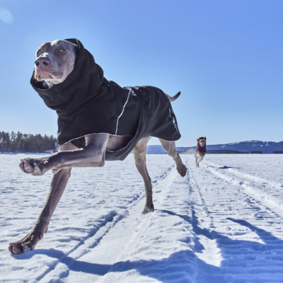 Haina Impermeabila Caini Extreme Warmer III ECO Raven Hurtta