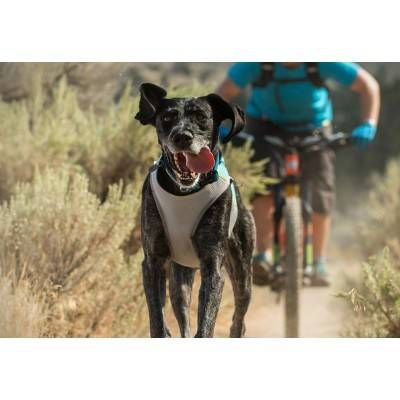 Ruffwear Manta de Racire