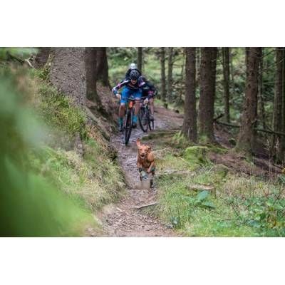 Ruffwear Ghete Polar Trex 2 buc