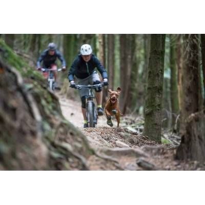 Ruffwear Ghete Polar Trex 2 buc