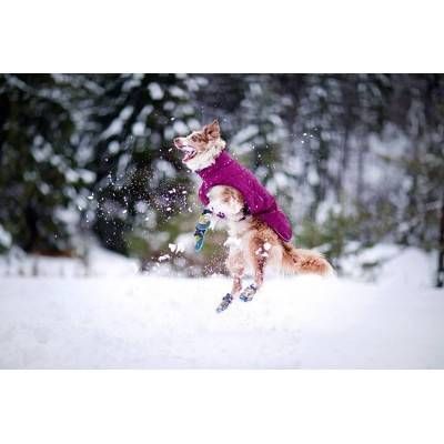 Ruffwear Ghete Polar Trex 2 buc