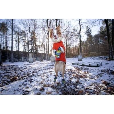 Ruffwear Ghete Polar Trex 2 buc