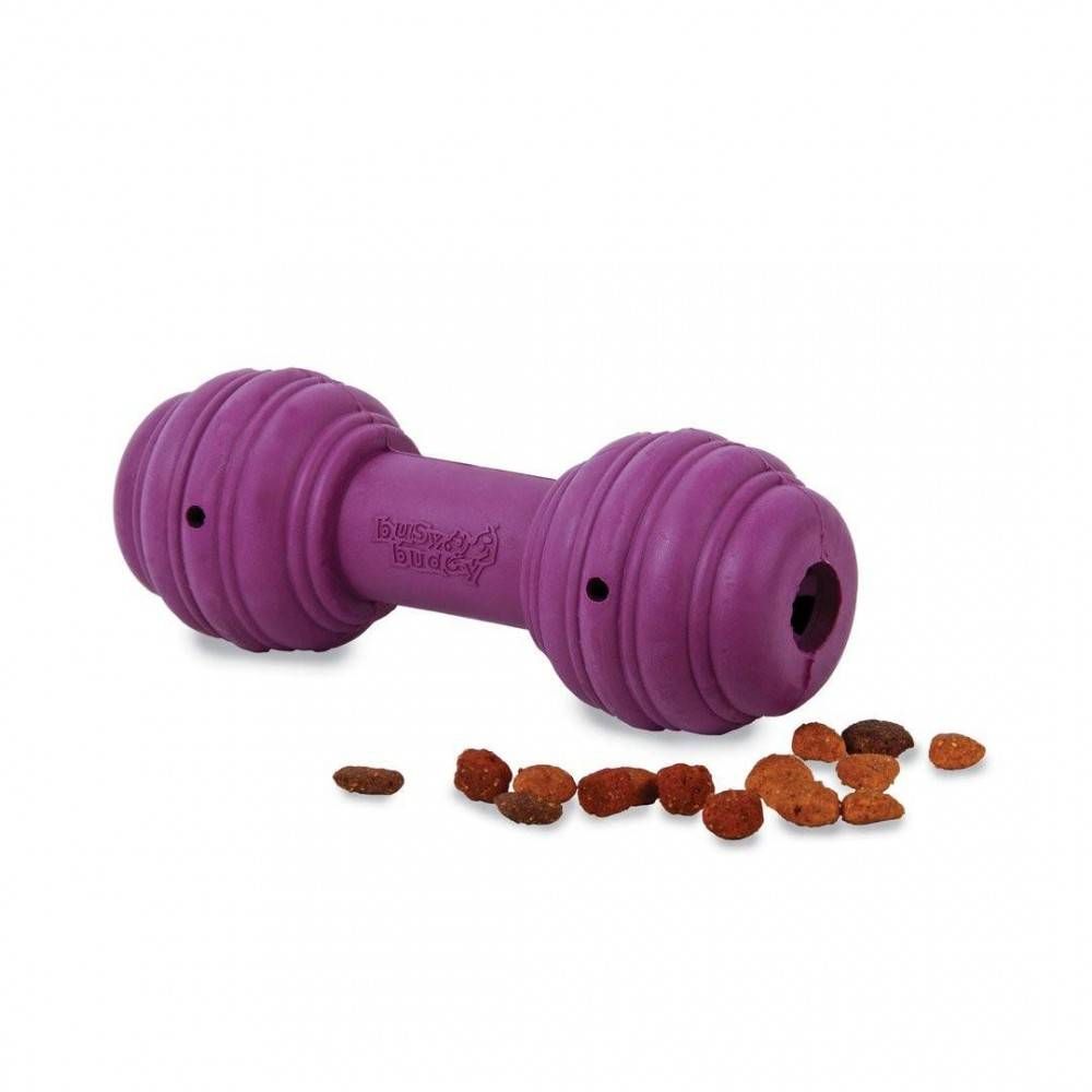 PetSafe Busy Buddy Chuckle