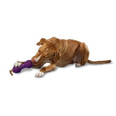 PetSafe Busy Buddy Chuckle