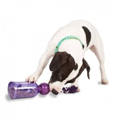 PetSafe Busy Buddy Waggle jucărie flexibilă de scuturat / distribuitor de biscuiți