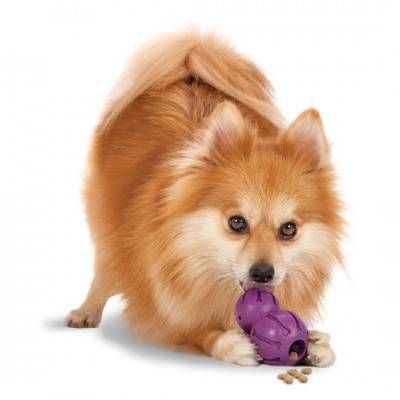 PetSafe Busy Buddy Waggle jucărie flexibilă de scuturat / distribuitor de biscuiți