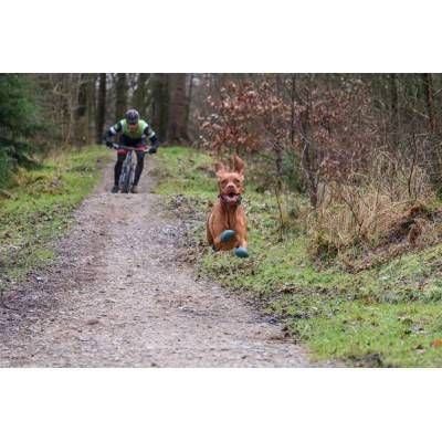 Ruffwear Grip Trex 2 buc