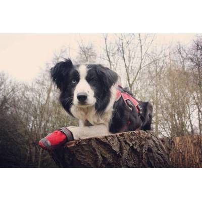 Ruffwear Grip Trex 2 buc