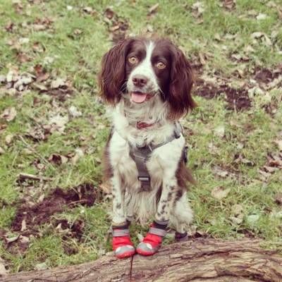 Ruffwear Grip Trex 2 buc